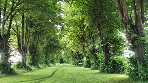 Ostseebad Damp